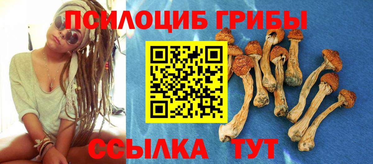 Курчатов  Псилоцибиновые грибы Psilocybine cubensis  Вход с VPN  Галлюциногенные грибы MAGIC MUSHROOMS 